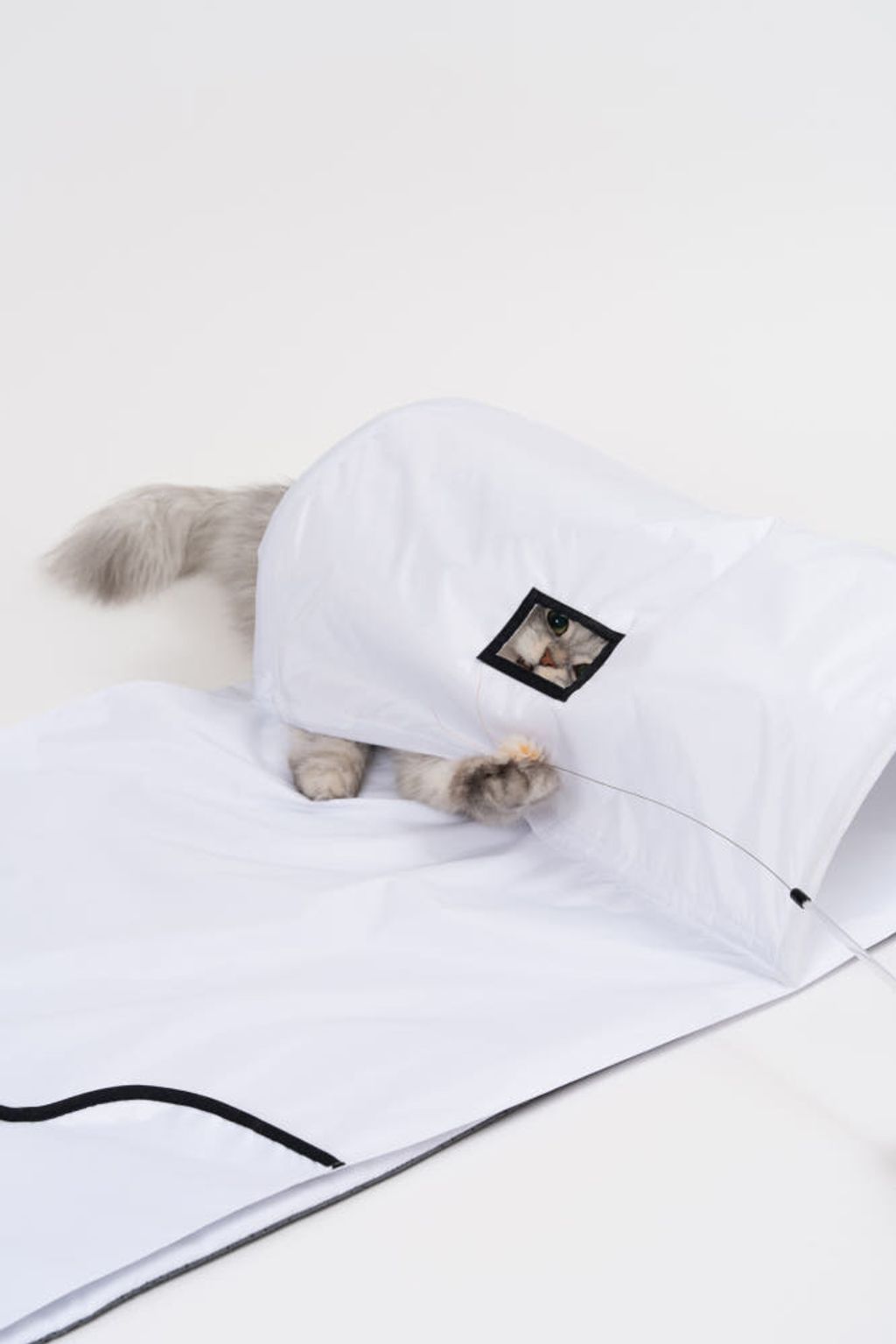 image_D9FCDF49-C03E-4385-9F69-46FEBFF68628_1772770122