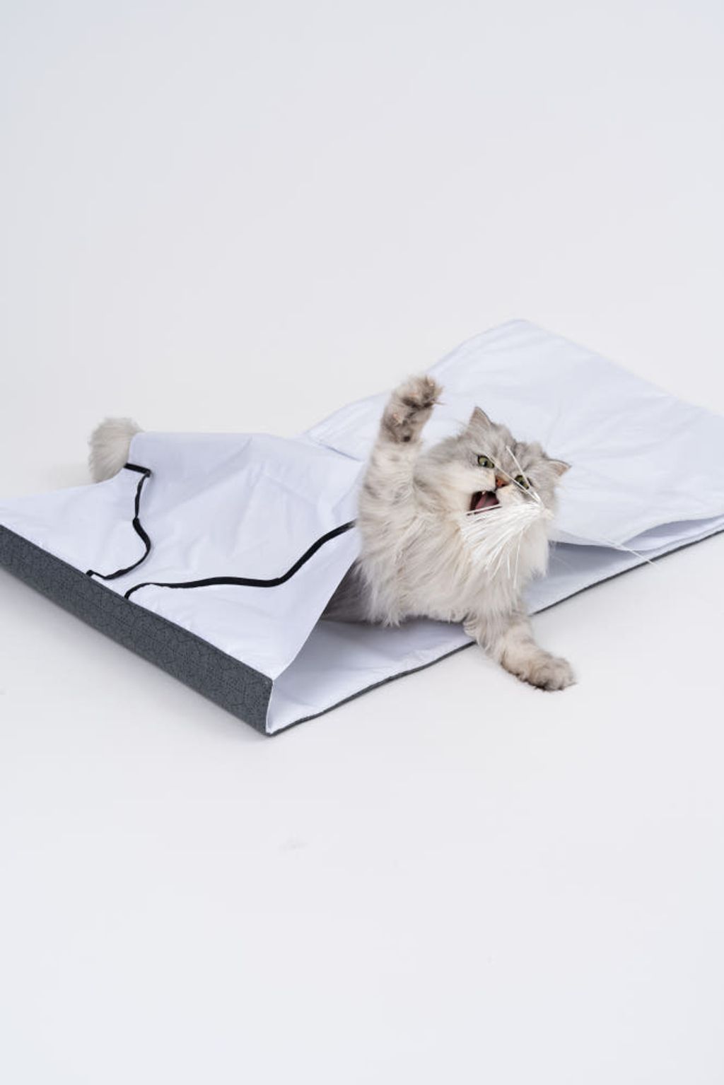 image_DA1FB629-605A-48E3-AA5E-DA4391079FEA_1772770122