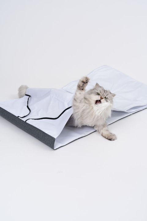 image_DA1FB629-605A-48E3-AA5E-DA4391079FEA_1772770122