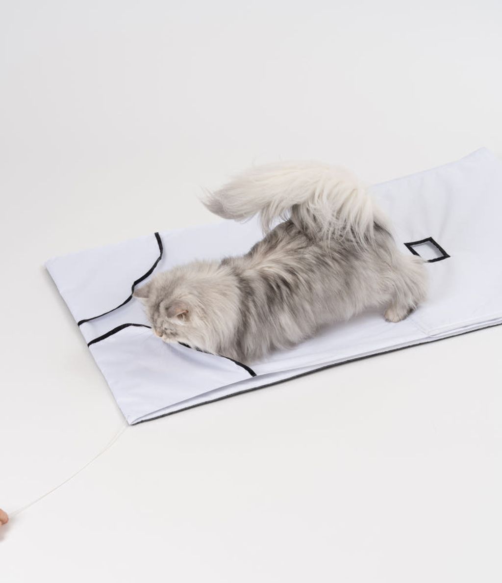 image_4F2EEEF9-3250-4DA1-BDCB-AB2A75522056_1772770122