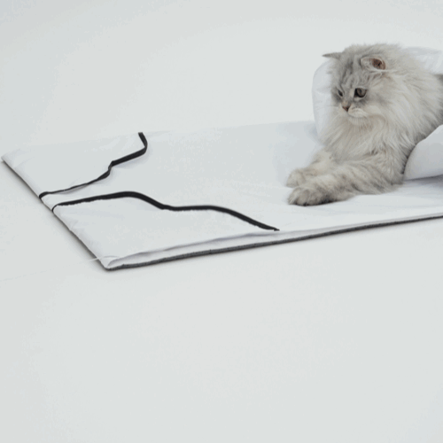 image_7CC3D1CD-56A4-4701-97A8-DAA6B0888A26_1772770122