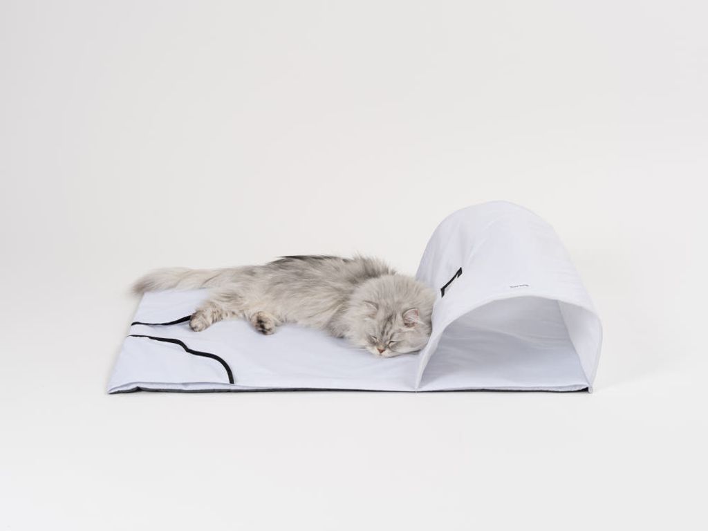 image_99B91C87-25F8-4AAC-AA4A-705B94EE65A6_1772770122