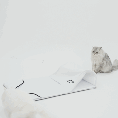 image_F44EDBB7-F20C-4889-AF23-1DBE2764A01C_1772770122