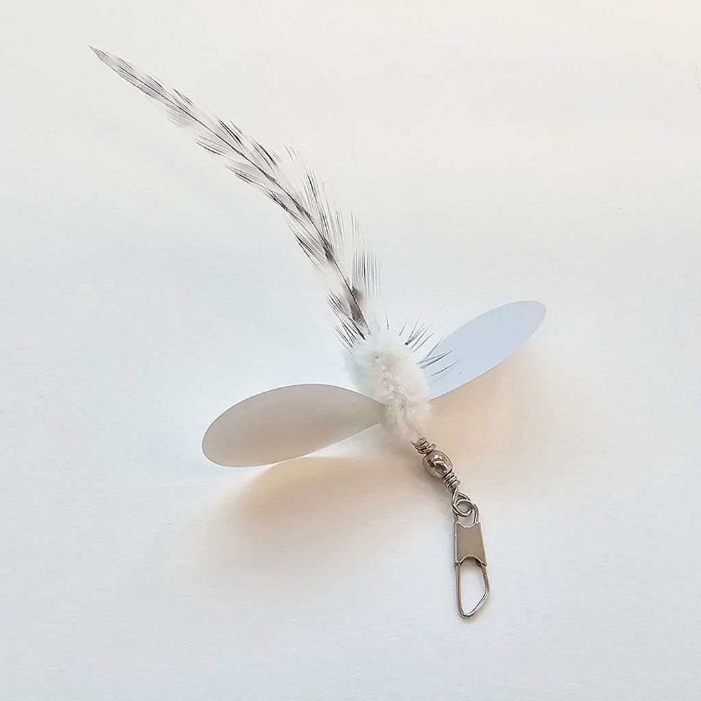 image_8EF29056-DF41-49B0-A3CF-874D4C01197D_1773458859