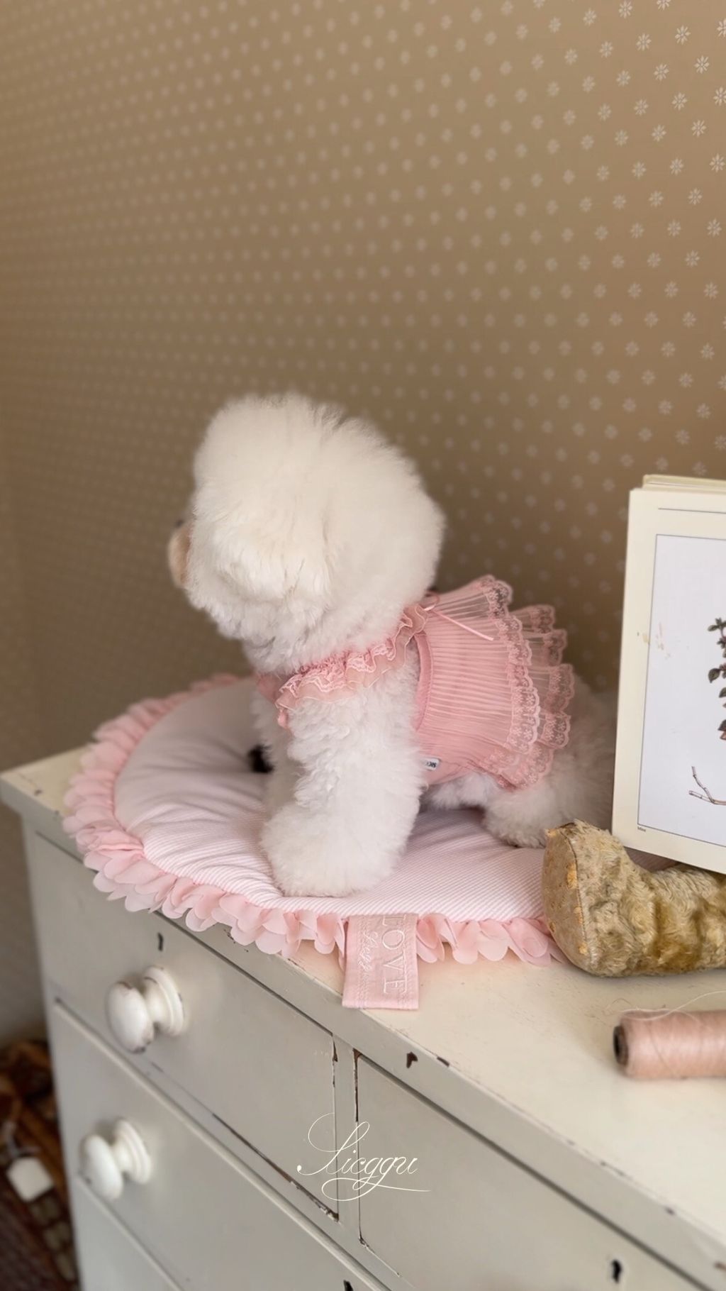 image_CFD96FF1-007F-4FD7-9BD9-324242E05493_1773751991