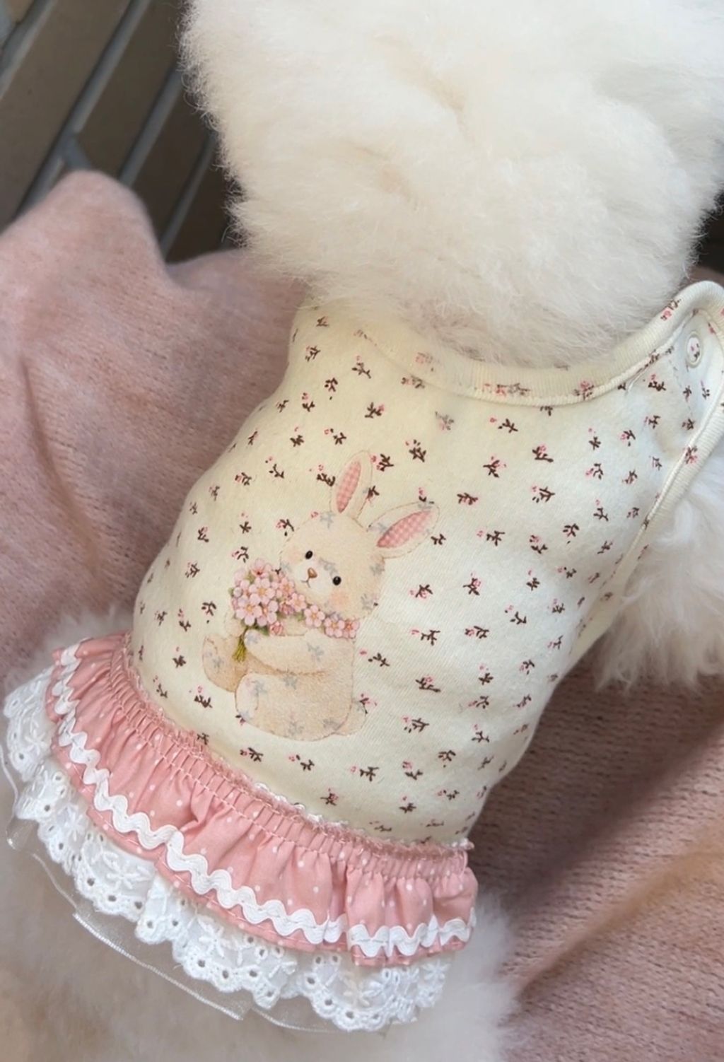 image_6F09B3A8-2F0D-4BD3-8D66-30EC34401930_1773752243