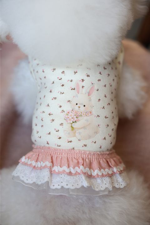 image_A3C84658-4E0B-4AFE-B144-92E3915F67AB_1773752243