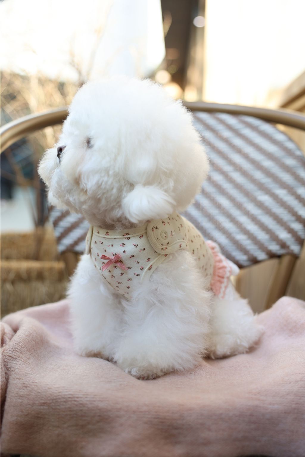 image_EBDFE607-E513-4C86-BD6D-443DC9BF9EDF_1773752243