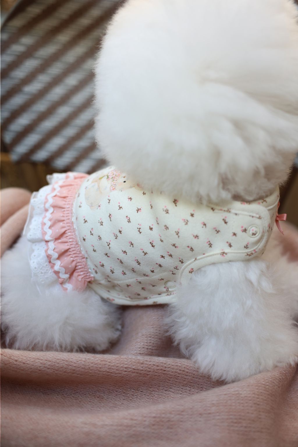 image_DF9E66C2-EC13-461E-8AC3-8DEE184A8109_1773752243