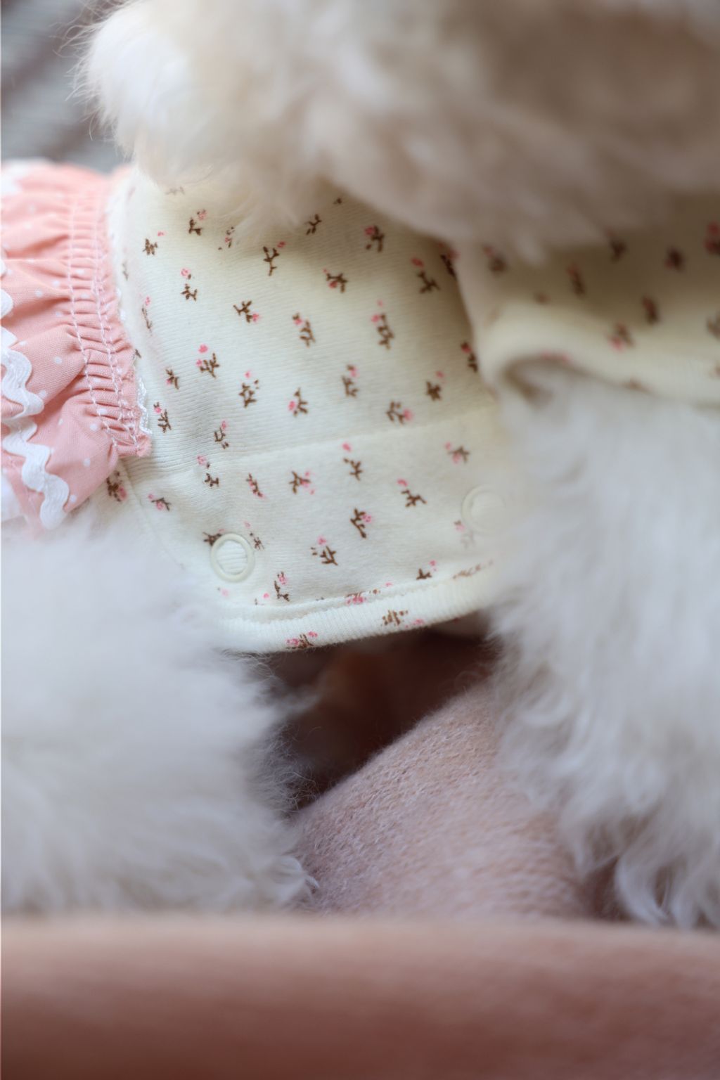 image_3D4D7F9E-EEA2-40DD-9C4D-5EF062FBFFA6_1773752243