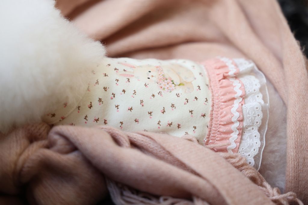 image_8AB1981E-4901-4A7F-BB83-0B2627B23525_1773752243