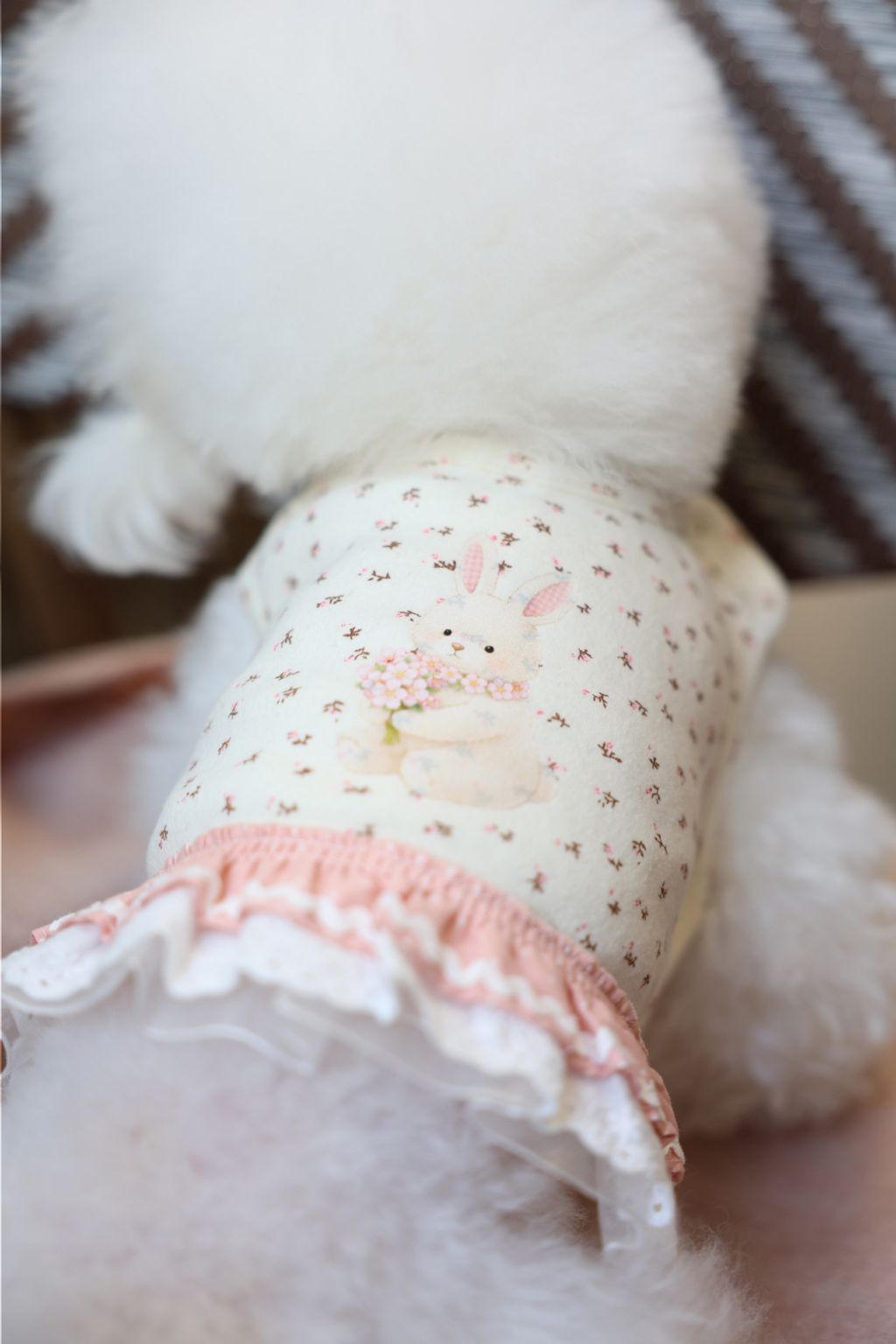 image_2A9F219C-7988-4932-A318-A6753FE948F6_1773752243