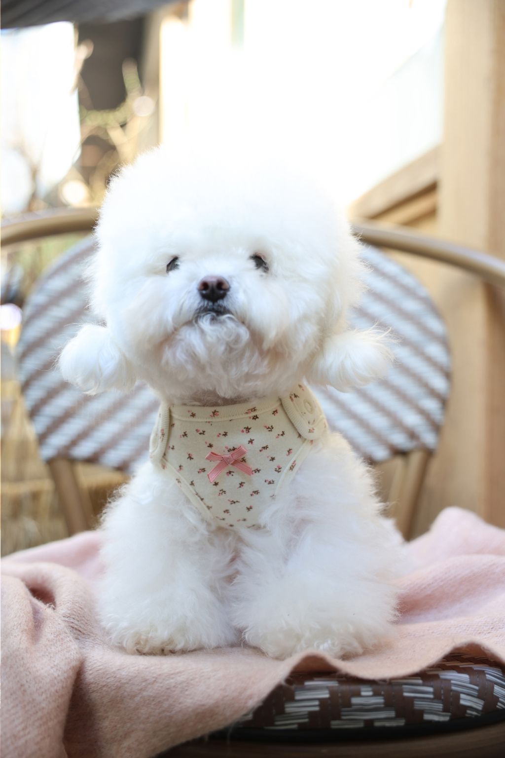 image_985DEC42-ECD1-4F0F-861C-D282552EA1CD_1773752243