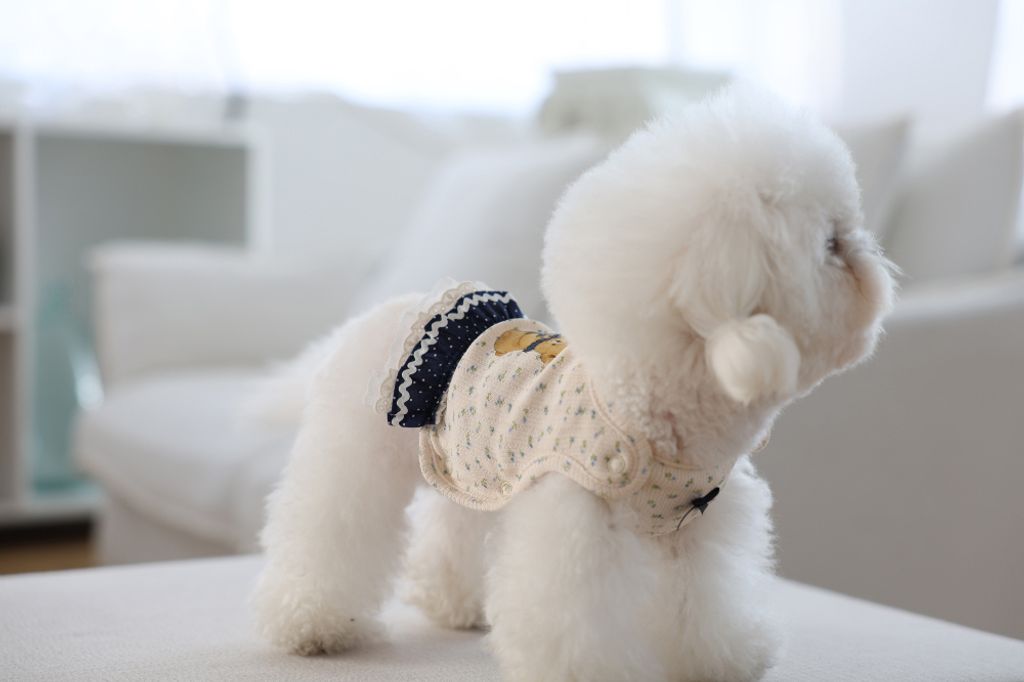 image_F9221ABB-7695-4D02-B47C-E4591CFA8550_1773752425