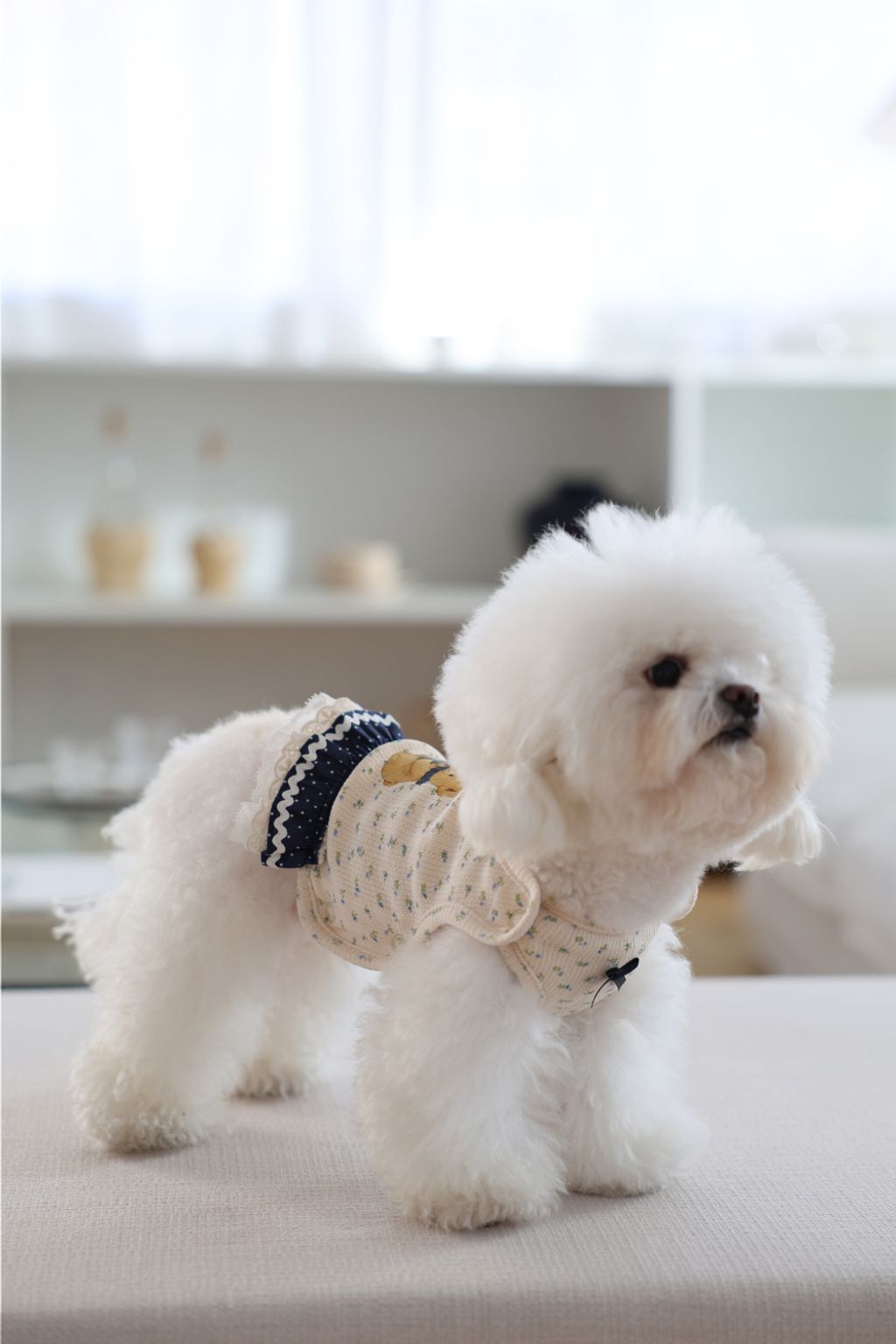 image_F3F1BF1D-93F0-4D05-AE10-2719AC02F0C5_1773752425