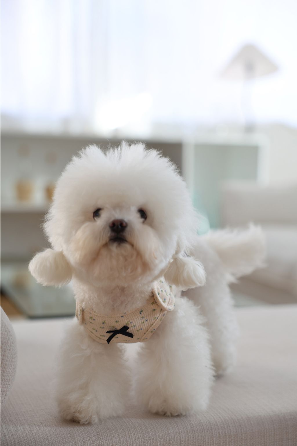 image_D40422C4-3CC7-4DAB-BCD3-6F955308877E_1773752425