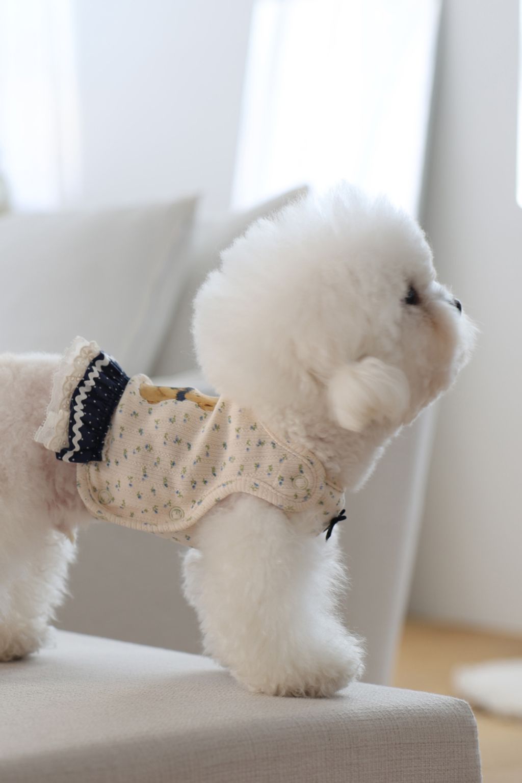 image_6D6ACCC0-1B82-4B07-88B7-7650887EC078_1773752425