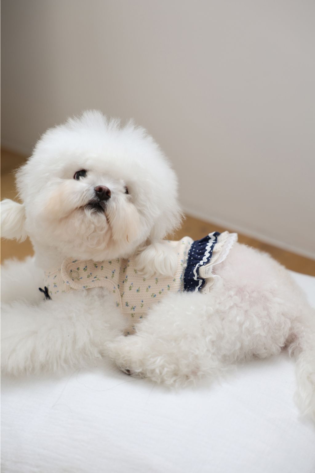 image_EE88F439-4AB2-497D-A2A2-2ADCEF05FE82_1773752425