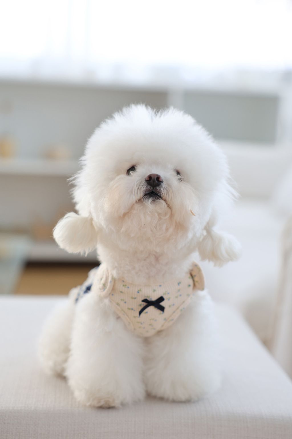 image_2A139B85-6A39-4086-A260-B519F2C59BF1_1773752425