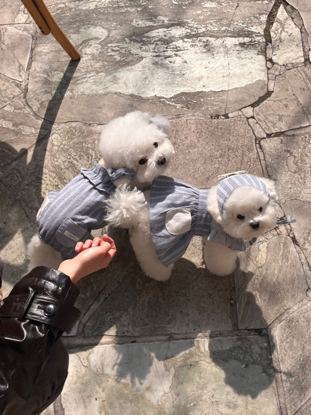 image_372DD293-636F-437F-8650-792C65C70FA4_1774079701