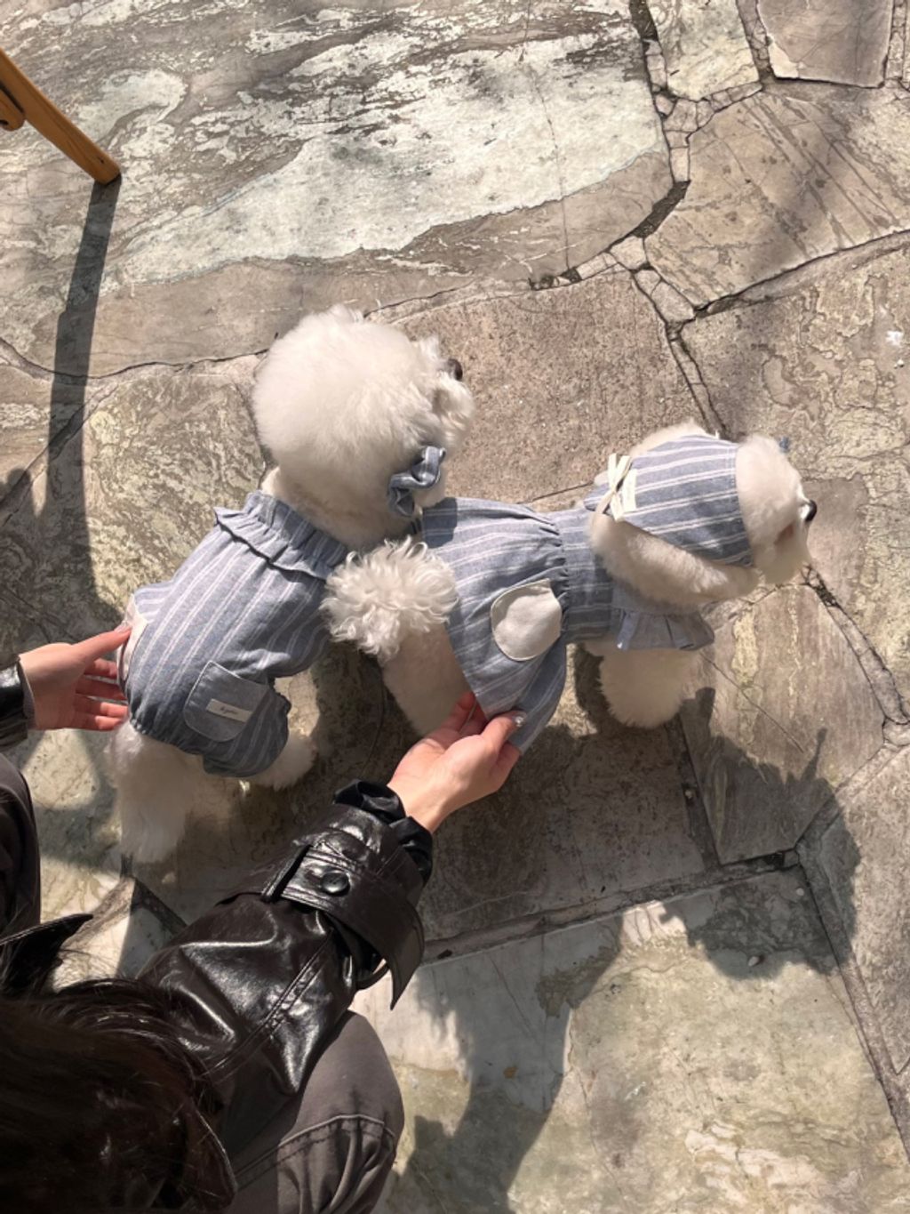 image_550BBADB-7EF7-403A-BA66-EB6E53926E30_1774079701