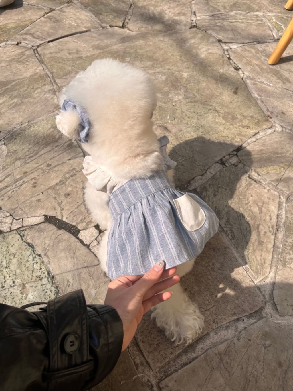 image_D8E068DB-B16E-40D8-A241-1157A97DE088_1774079701