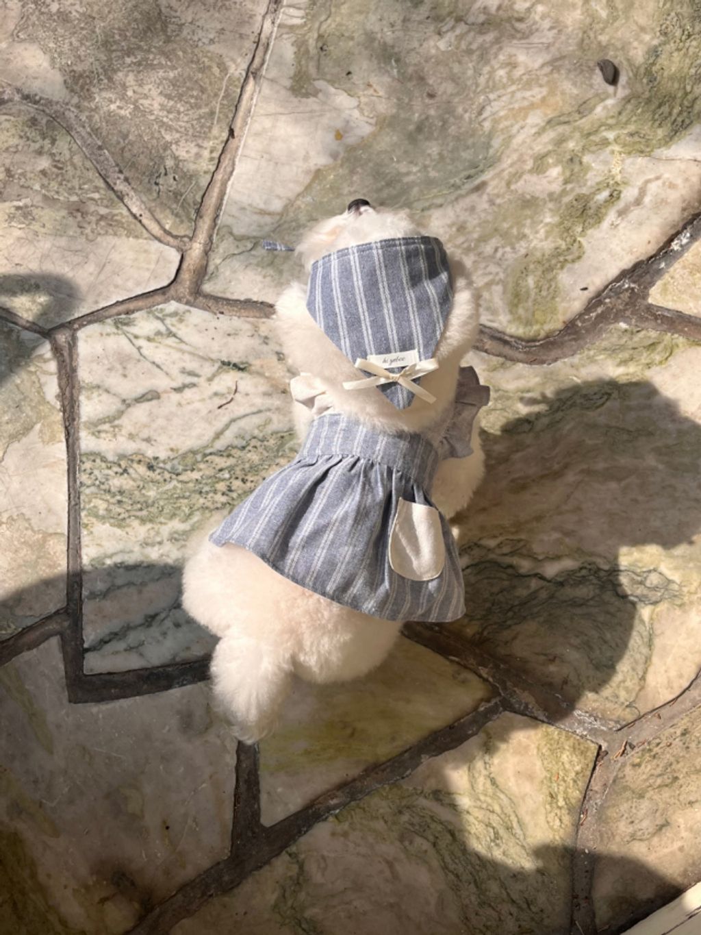 image_8B735A48-407F-4A17-A179-36995B5F6F47_1774079701