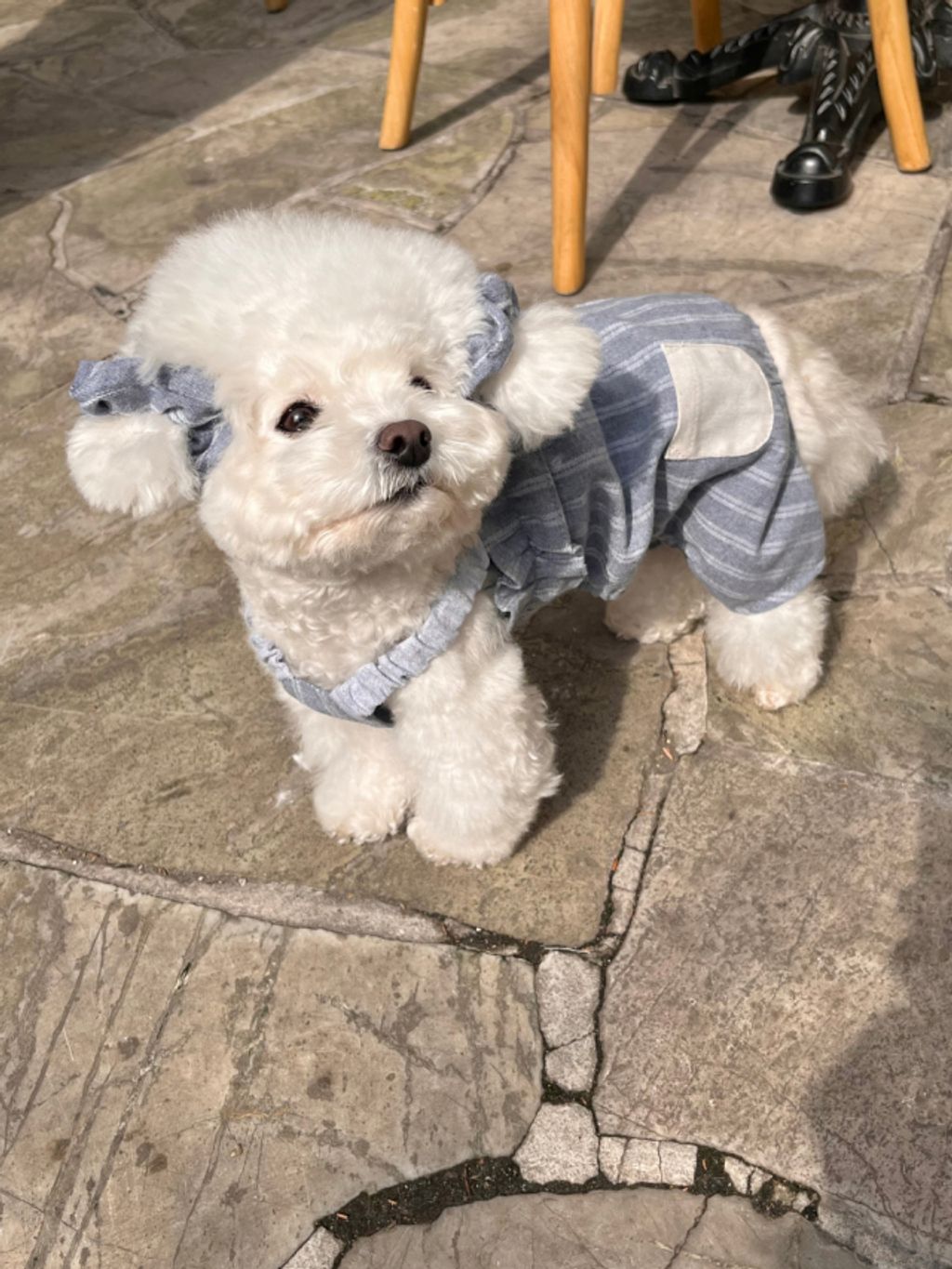 image_84D83E88-C971-44E8-A878-BBFF9B8D639E_1774079701