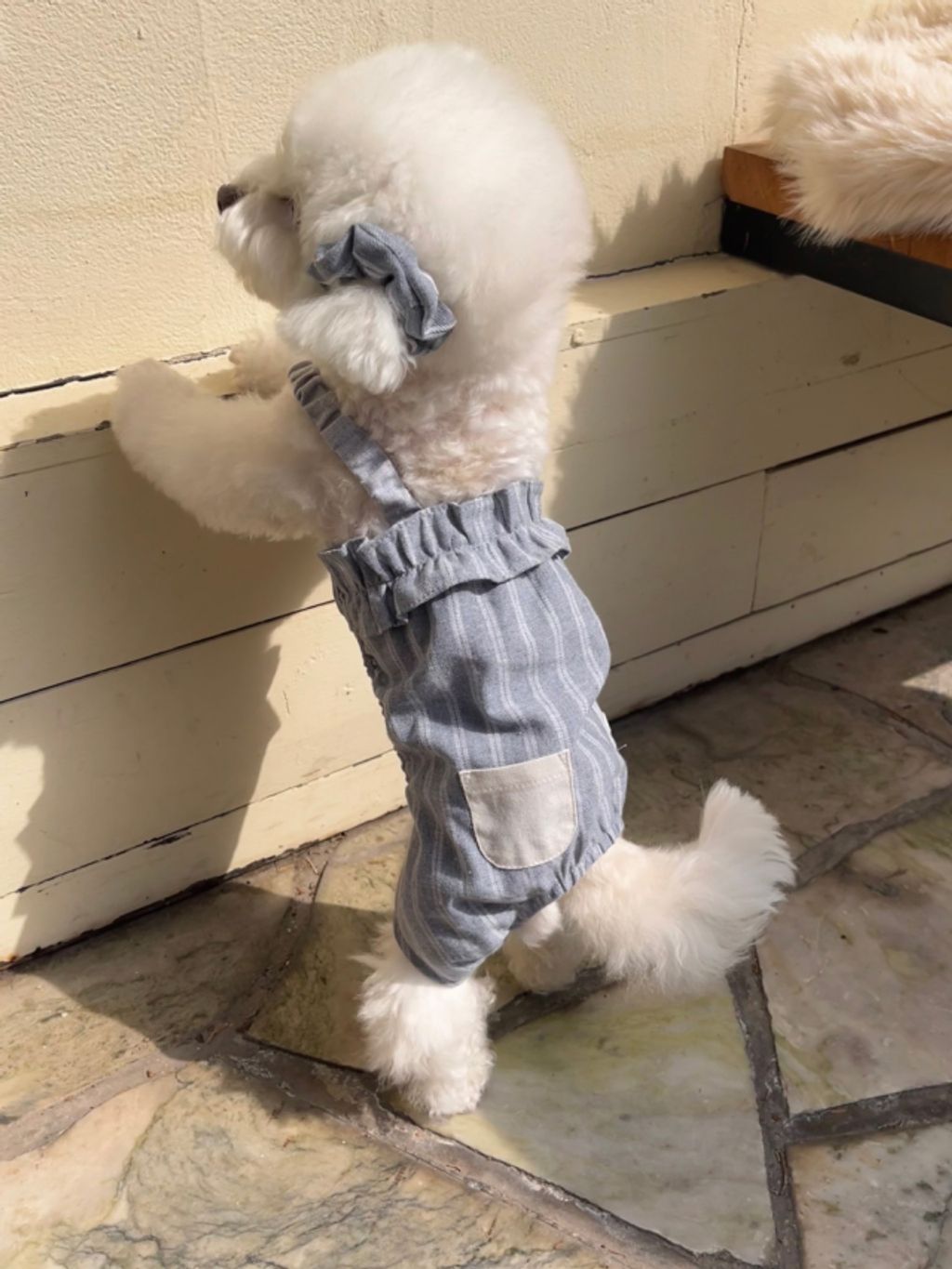 image_10E9F0BD-AE6D-4BDA-B2E8-F36F29938443_1774079701