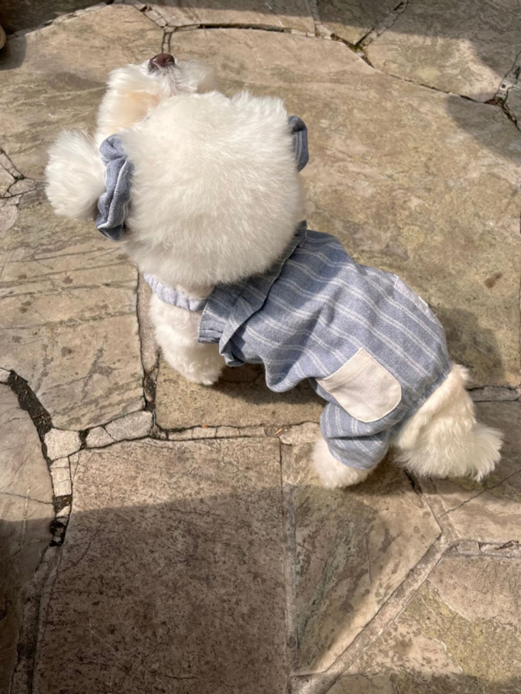 image_A1F373B9-41C4-49B3-9E56-5F237869757B_1774079701