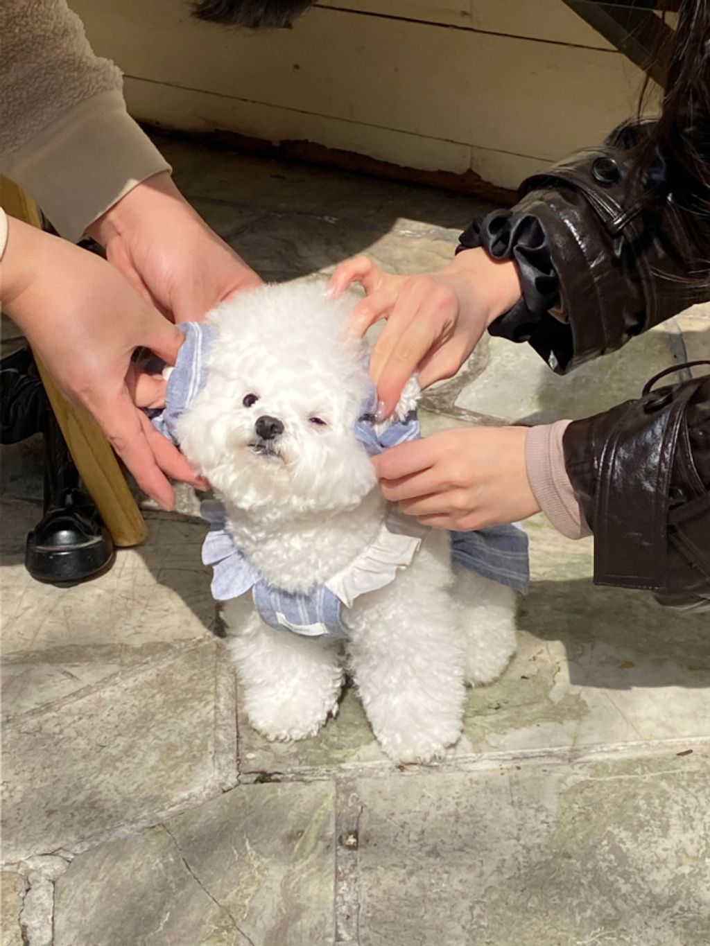 image_107CB654-D13A-43D9-8486-DFAC0D9B4358_1774079701