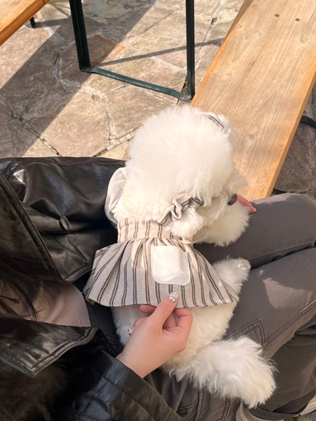 image_BFDA5C1A-7F78-4A35-BEF9-811C7AF1040A_1774079701