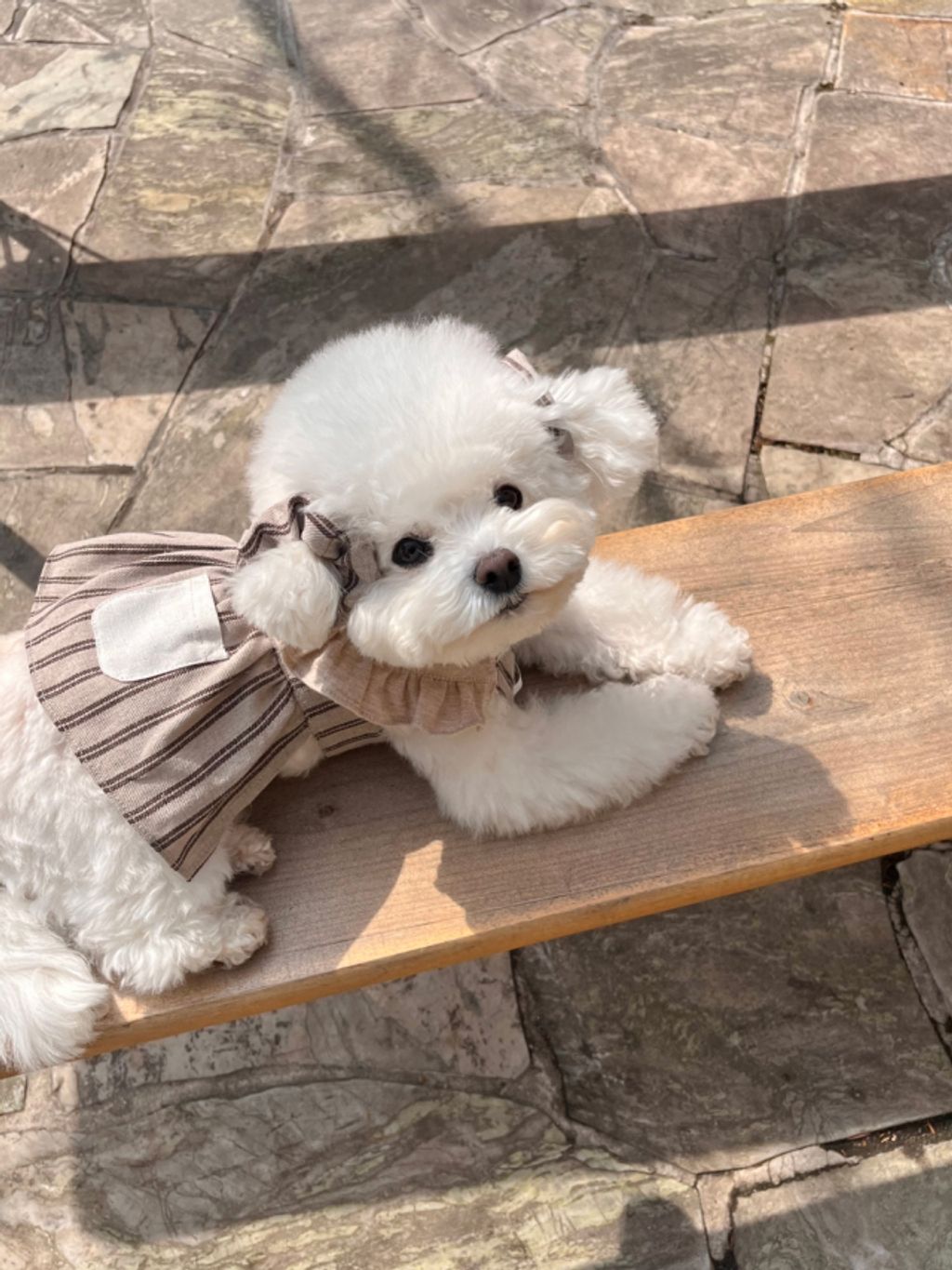 image_AD23E31B-626D-42D9-8617-A67A8FE1A15D_1774079701