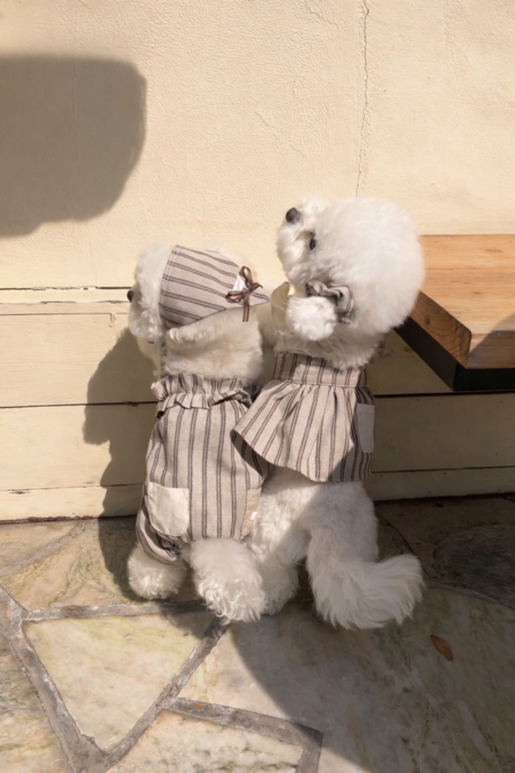 image_0F3C9F87-DA8E-4580-8159-F55E3DB8AF02_1774079701