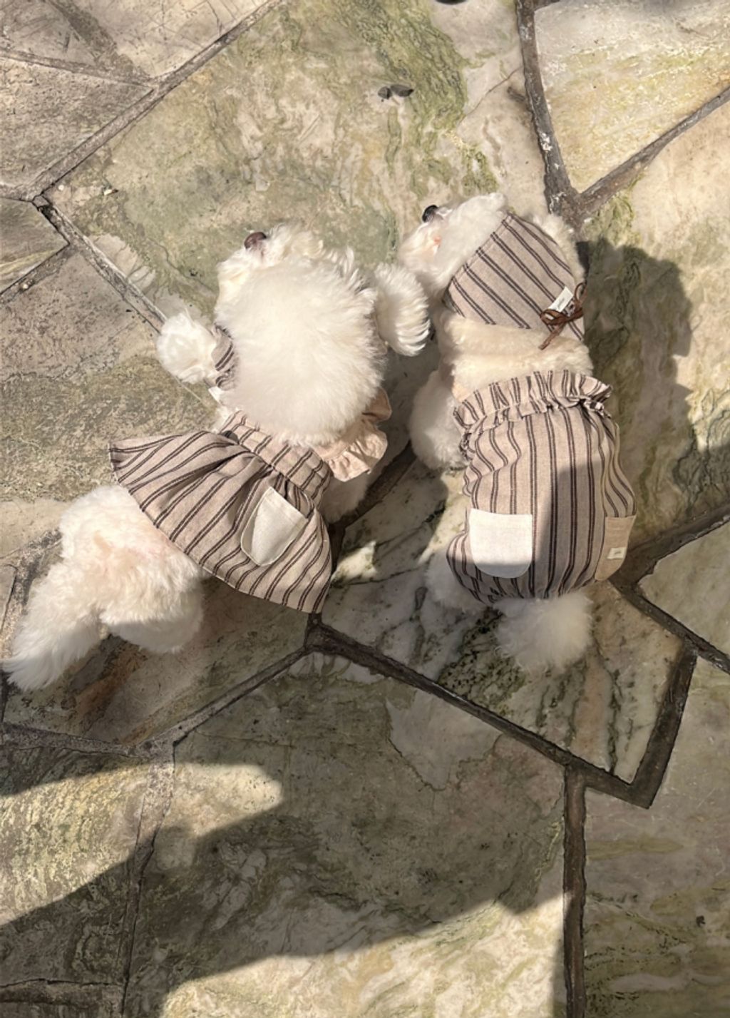 image_719BC832-9486-4D5F-A038-94E6A5162C21_1774079701