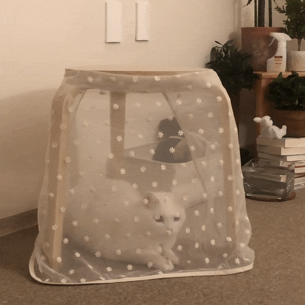 ezgif.com-gif-maker20282029