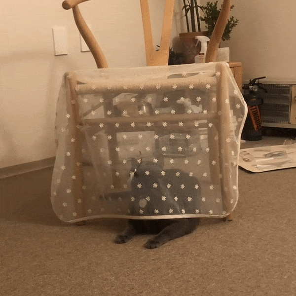 ezgif.com-gif-maker20282229