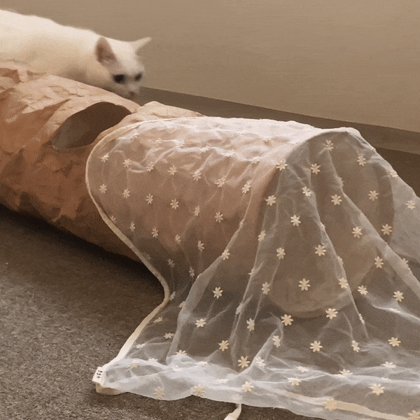 ezgif.com-gif-maker20281529