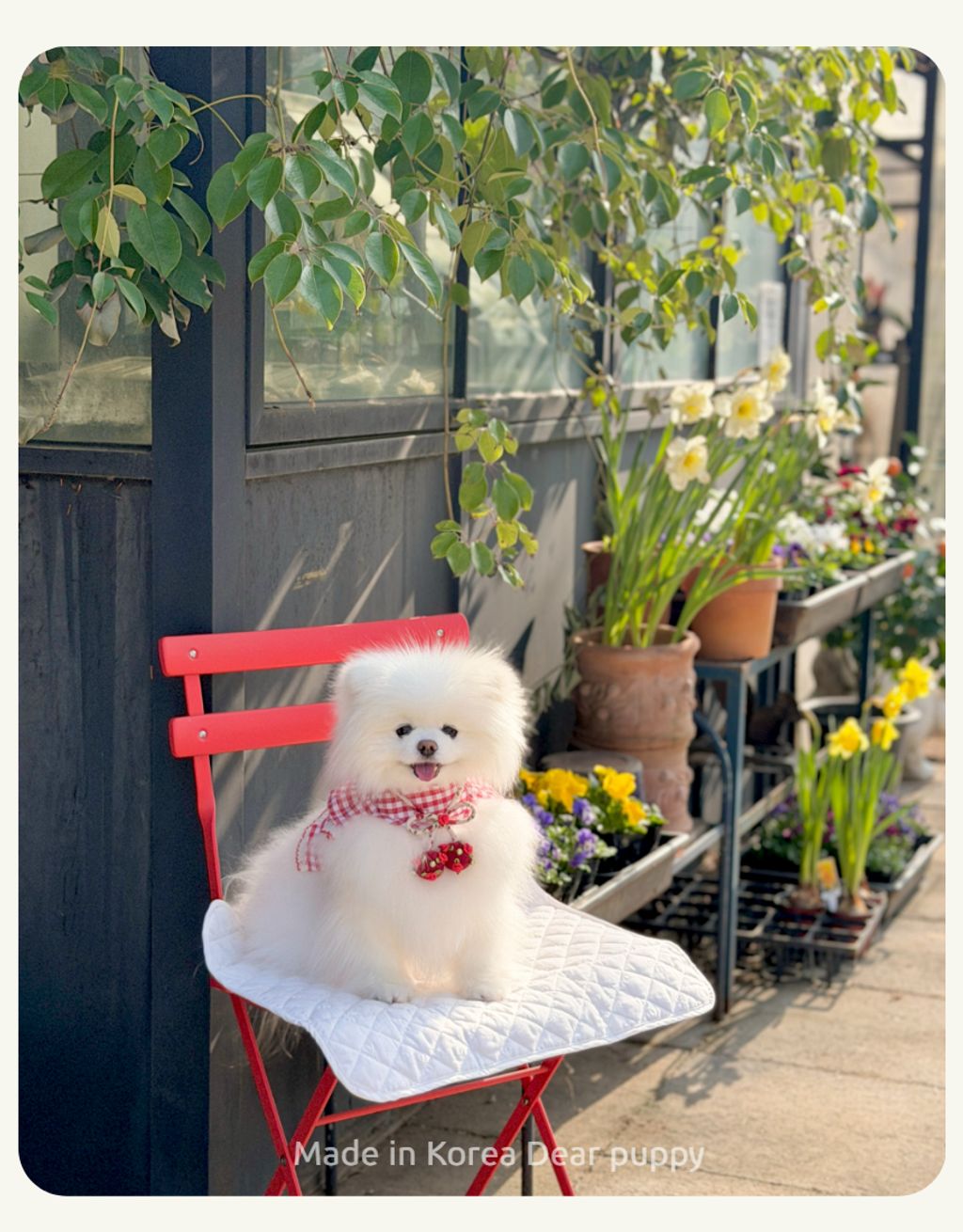 image_A9E7DB36-9321-456A-9226-A567CD376D8A_1774550837