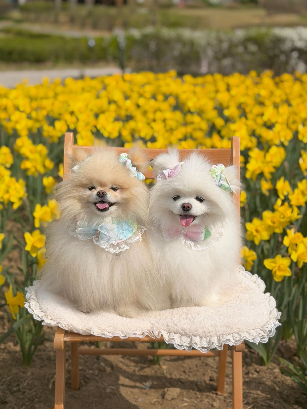 image_F0AFDB5B-69F0-43FF-8CFC-58C5521DF33C_1775972313