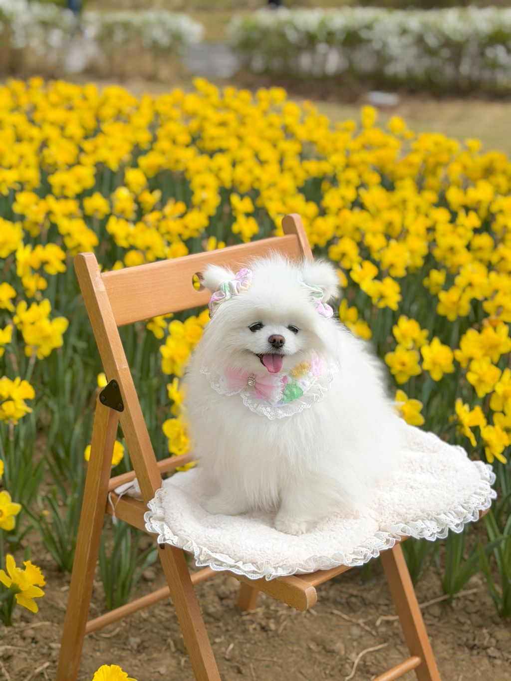 image_C0DD76D4-912E-420F-A546-782AB20B2822_1775972313