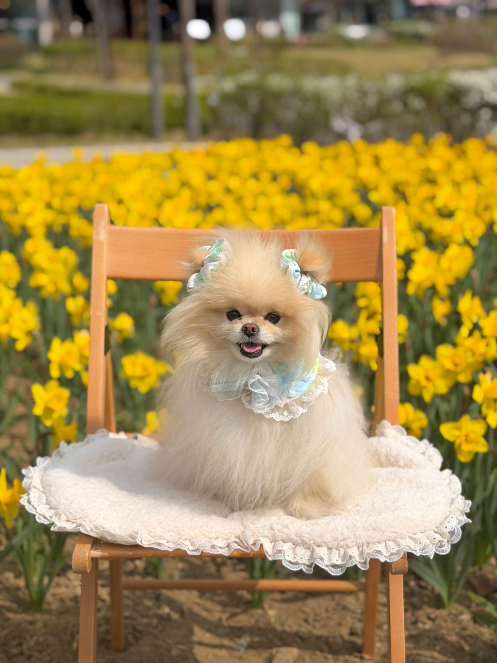 image_F2F3D496-CE8B-420A-B7BD-A1B442B0112A_1775972313