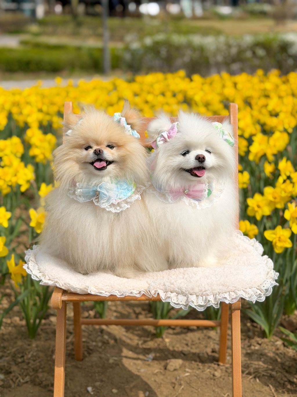 image_33CD8759-AEEC-4201-B3C7-96D738C7F0FD_1775972313