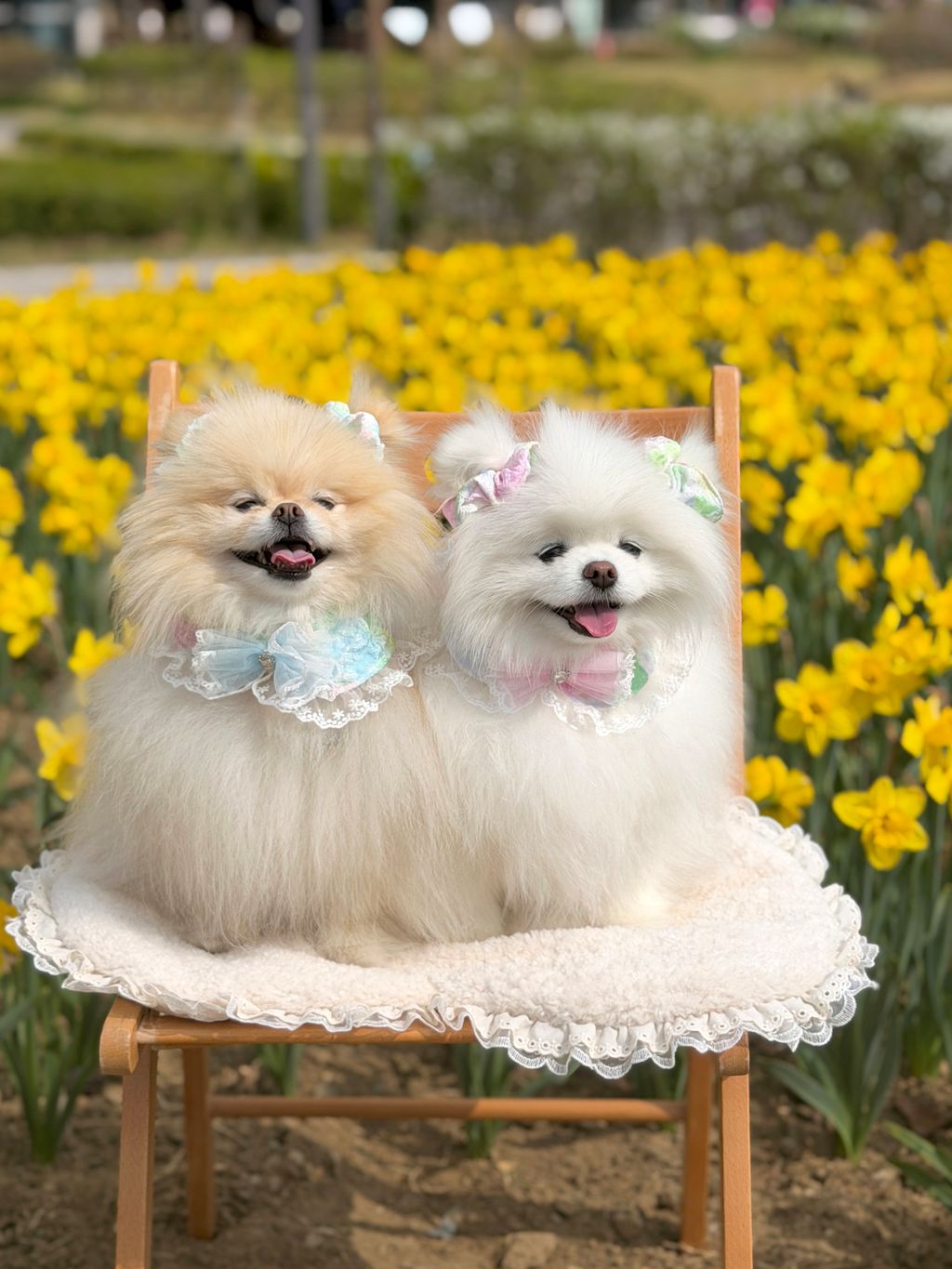 image_BBF86496-5F61-4CFC-8A4A-9E0CC2347871_1775972313