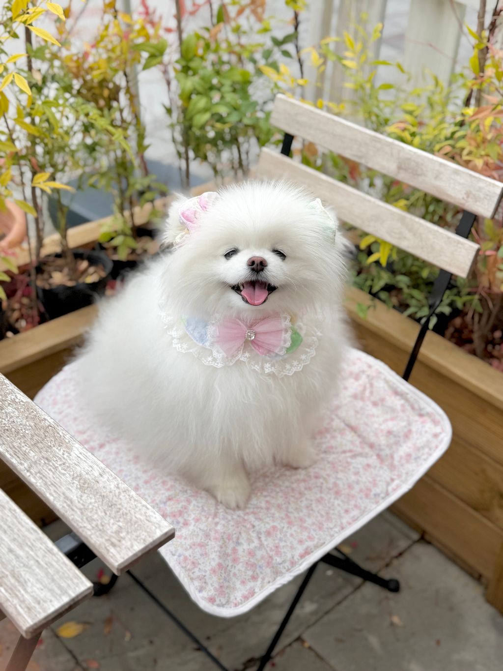 image_583960FB-8092-45FD-A8E5-5C200408010B_1775972313