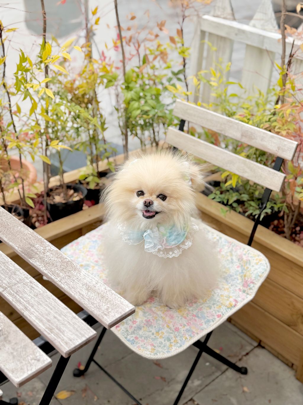 image_2B641151-AD74-410C-9DA9-67A65A040DDB_1775972313