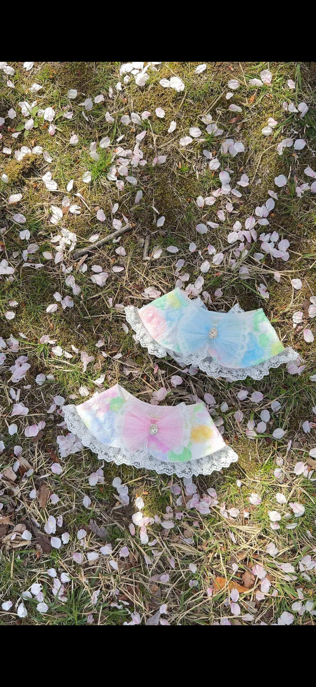 image_F9A0AE67-E98D-4D40-94C8-D68024E11AB4_1775972313