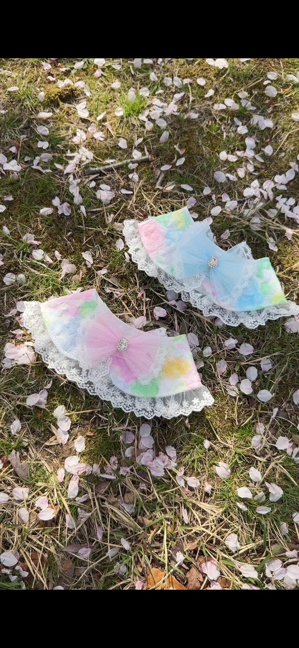 image_9CC443BF-C72E-475F-8BAE-F53C4E0205DC_1775972313