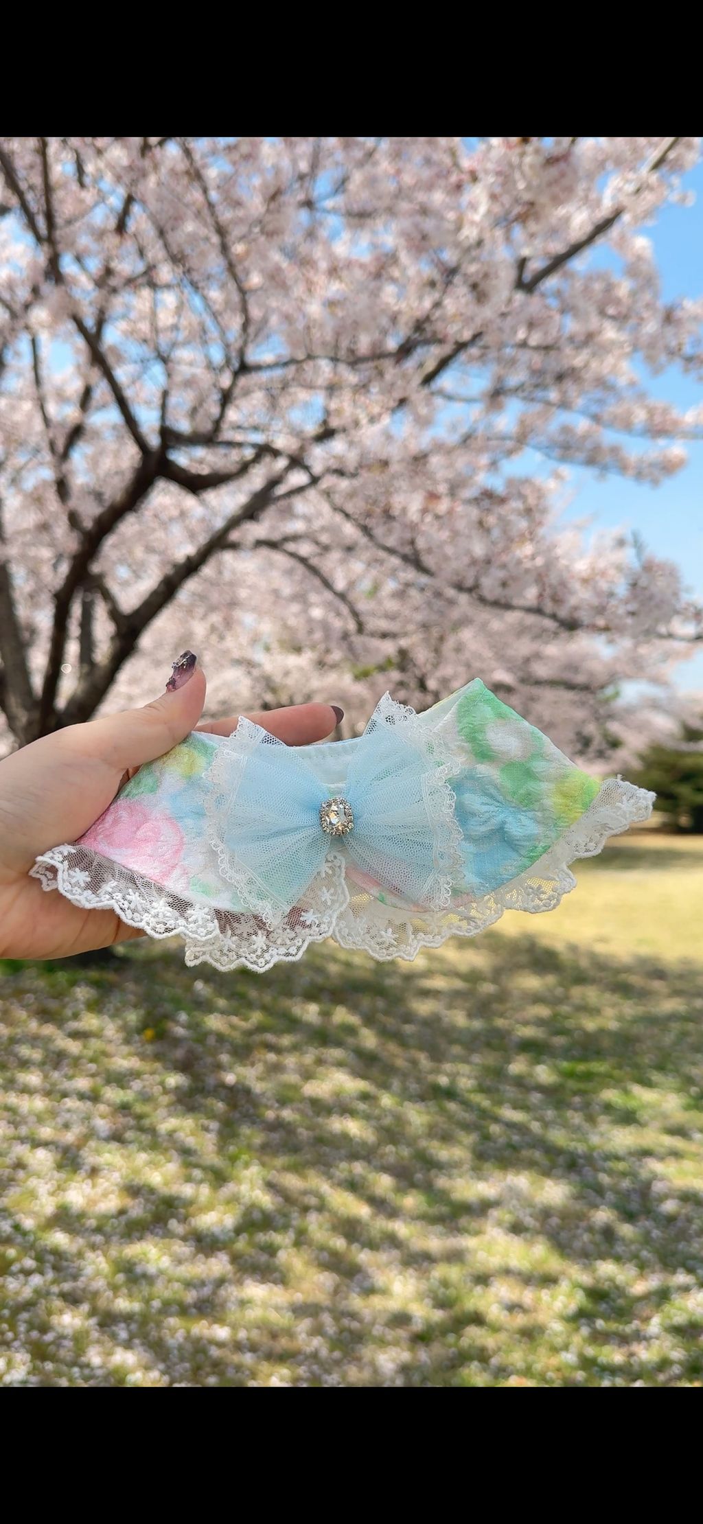 image_7C351D67-6122-40B5-AB81-7BCDC813FB63_1775972313