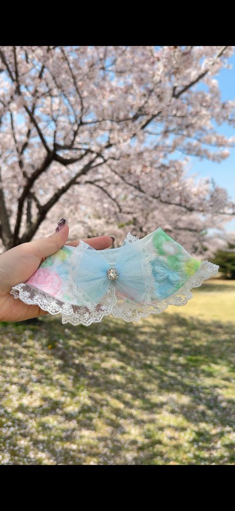 image_7C351D67-6122-40B5-AB81-7BCDC813FB63_1775972313